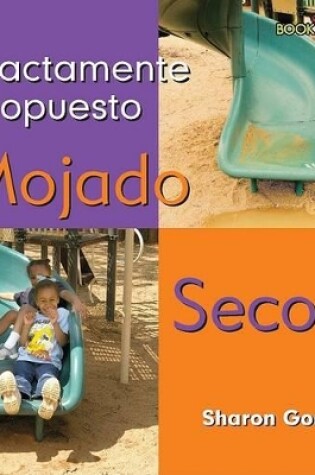 Cover of Mojado, Seco (Wet, Dry)