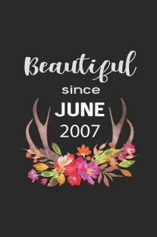 Cover of Beautiful Since June 2007