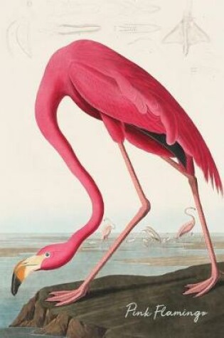 Cover of Pink Flamingo