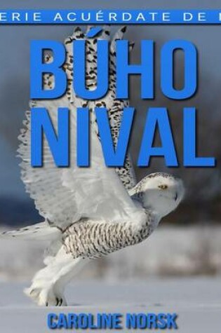 Cover of Buho nival