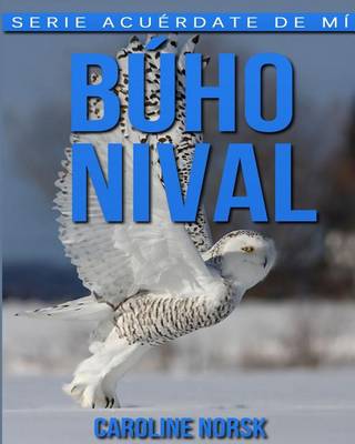 Book cover for Buho nival