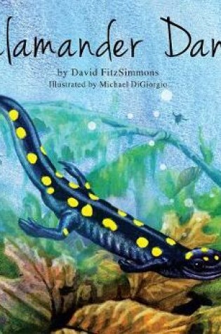 Cover of Salamander Dance