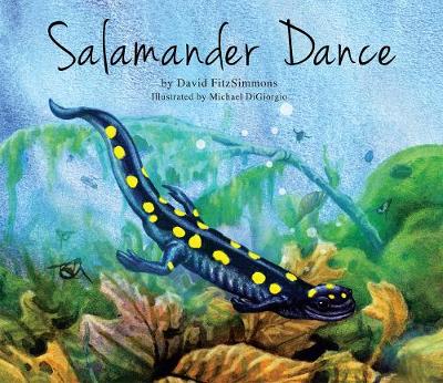 Book cover for Salamander Dance