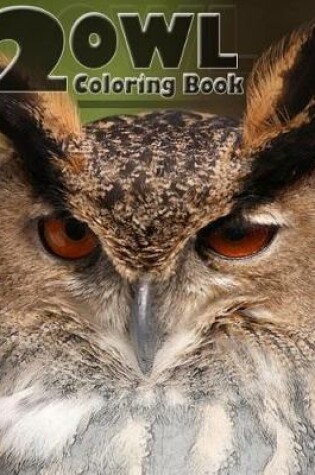 Cover of Owl