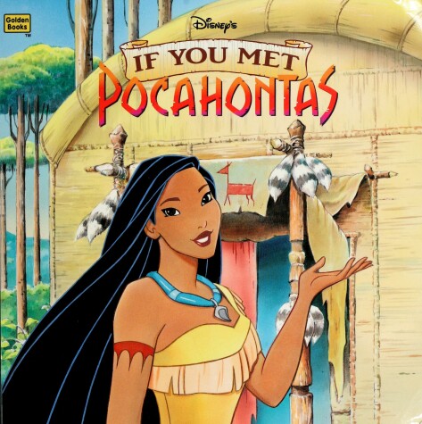 Book cover for Disney's If You Met Pocahontas