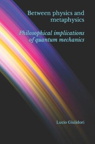 Cover of Between physics and metaphysics