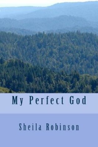 Cover of My Perfect God