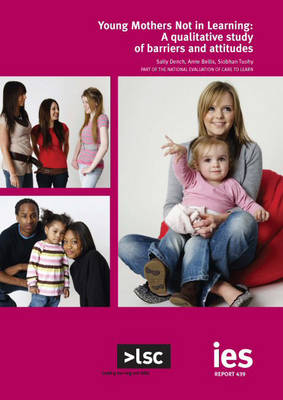 Book cover for Young Mothers Not in Learning