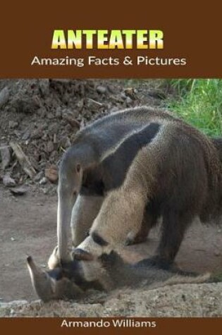 Cover of Anteater