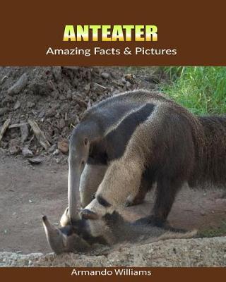 Book cover for Anteater