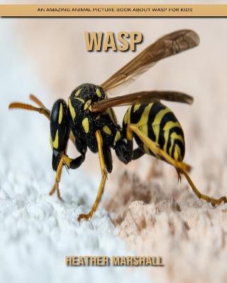 Book cover for Wasp