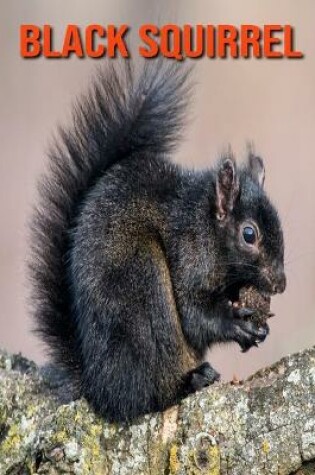 Cover of Black Squirrel