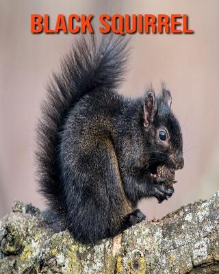 Book cover for Black Squirrel