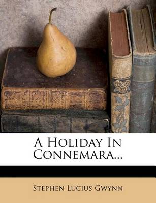 Book cover for A Holiday in Connemara...