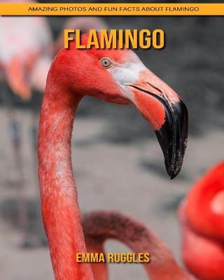 Book cover for Flamingo