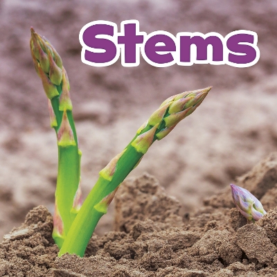 Cover of Stems