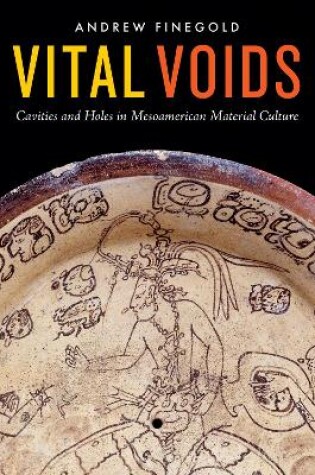 Cover of Vital Voids