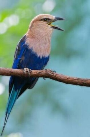 Cover of Blue-bellied Roller Journal