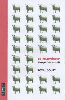 Book cover for A Number, A