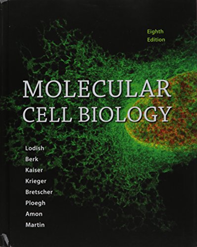 Book cover for Molecular Cell Biology & Launchpad for Molecular Cell Biology (6 Month Access)
