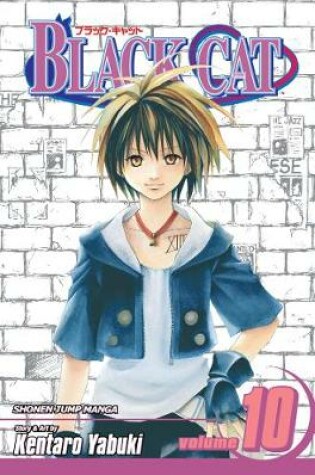 Cover of Black Cat, Vol. 10