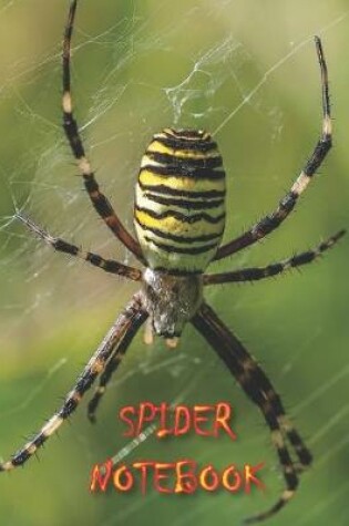 Cover of Spider NOTEBOOK