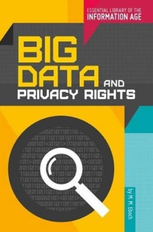 Cover of Big Data and Privacy Rights