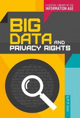 Book cover for Big Data and Privacy Rights
