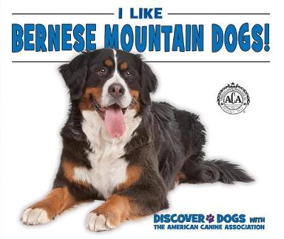 Book cover for I Like Bernese Mountain Dogs!