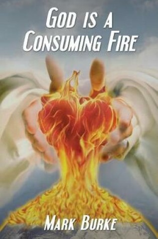 Cover of God Is a Consuming Fire