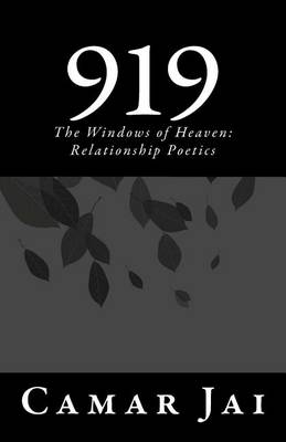 Book cover for 919