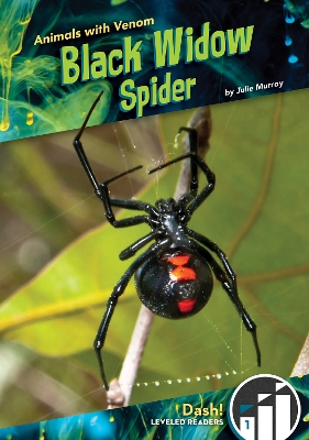 Book cover for Black Widow Spider