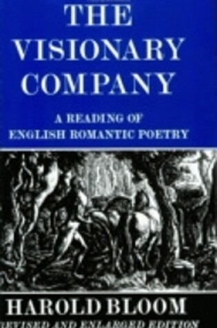 Cover of The Visionary Company