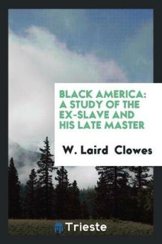 Cover of Black America