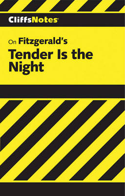 Book cover for Tender is the Night