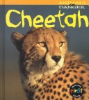 Book cover for Cheetah