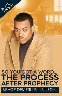 Book cover for The Process After Prophecy