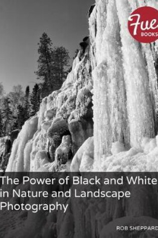 Cover of Power of Black and White in Nature and Landscape Photography, The