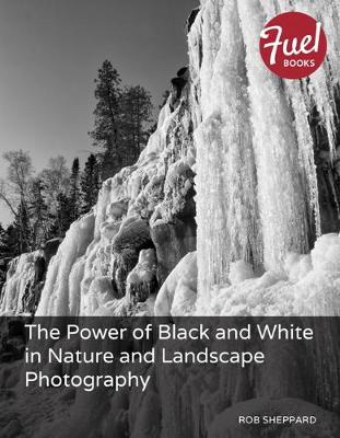 Book cover for Power of Black and White in Nature and Landscape Photography, The