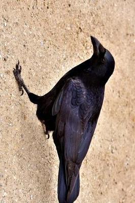 Book cover for Common Raven in the Sand Journal