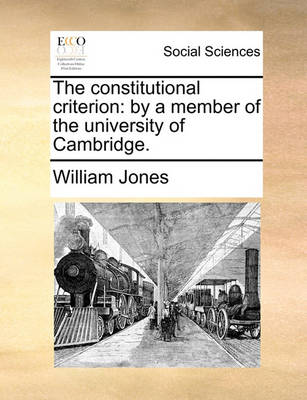 Book cover for The constitutional criterion