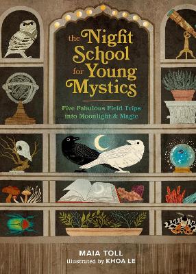 Book cover for The Night School for Young Mystics