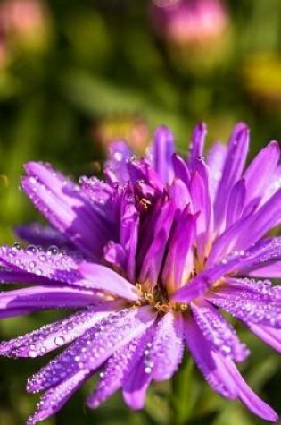 Cover of Beautiful Symphyotrichum Flower Covered in Dew Journal