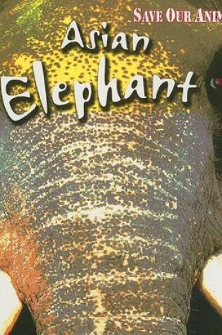 Cover of Asian Elephant