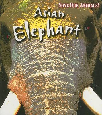 Book cover for Asian Elephant