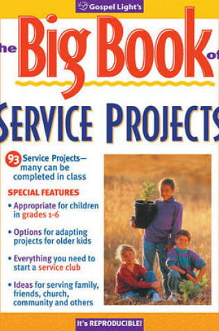 Cover of The Big Book of Service Projects