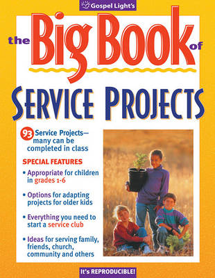 Book cover for The Big Book of Service Projects