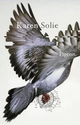 Book cover for Pigeon