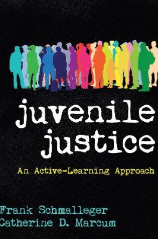 Cover of Juvenile Justice