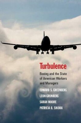 Cover of Turbulence